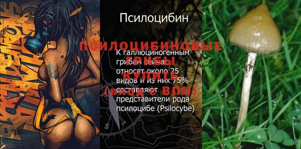 apvp Бородино