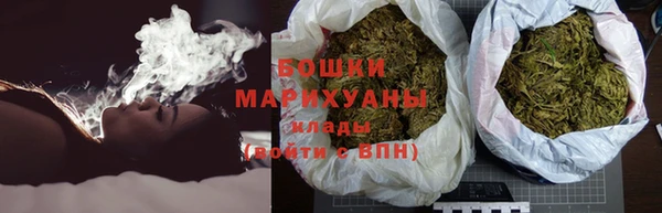 apvp Бородино