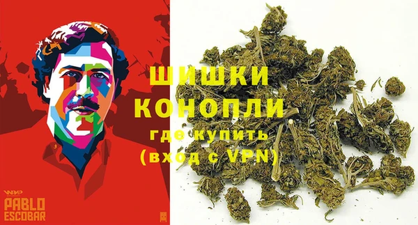экстази Покачи