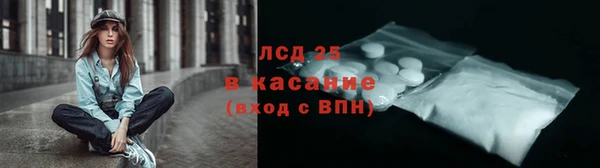 apvp Бородино