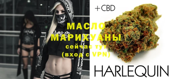 apvp Бородино