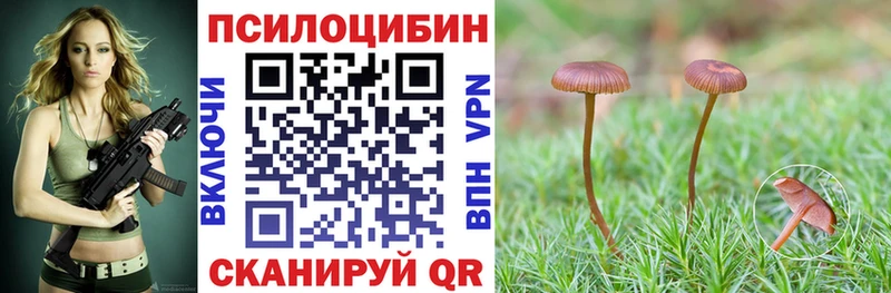 продажа наркотиков Хотьково Галлюциногенные грибы прущие грибы